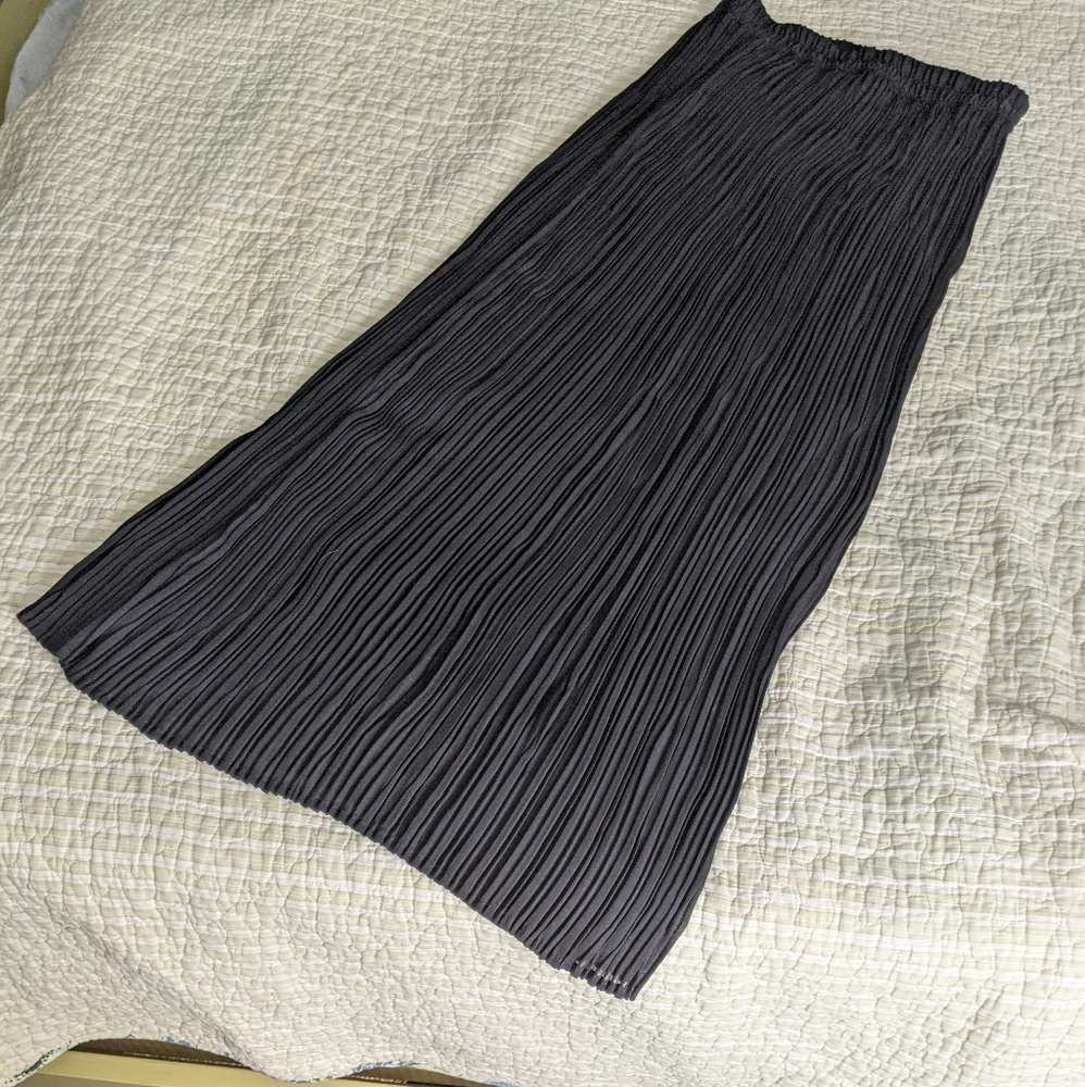 Ann Taylor Maxi Skirt - Picture 4 of 6